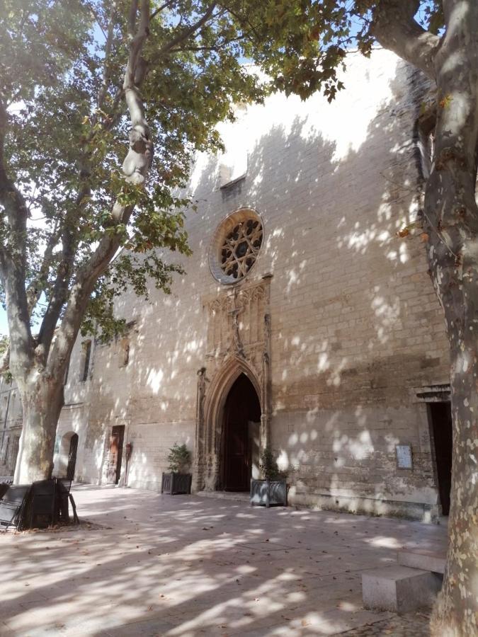 Studio Centre-Historique, A Deux Pas Du Palais, Wifi Avignon Eksteriør bilde